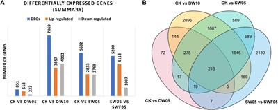 Metabolomic and transcriptomic responses of Adiantum (Adiantum nelumboides) leaves under drought, half-waterlogging, and rewater conditions